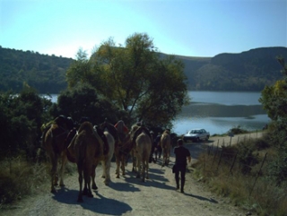 una ruta especial